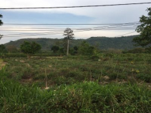 Chính chủ cần bán đất tại xã Tân Tiến, huyện Krông Pắc, tỉnh Đắk Lắk