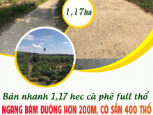 Bán nhanh 1,17 hec cà phê full thổ có sẵn 400 thổ tại Krong Năng – Đak Lak