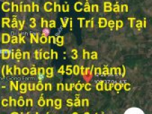 Chính Chủ Cần Bán Rẫy 3 ha Vị Trí Đẹp Tại Dak Nông