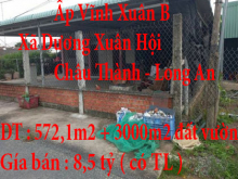 Chính chủ cần bán 2 lô đất 572m2 đất thổ cư và 3000m2 đất vườn tại Dương Xuân Hội,Châu Thành,Long An