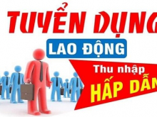 Cần tuyển nhân sự cho trường mần non chuẩn bị mở  tại  Phường 11 - Quận Bình Thạnh - TP HCM