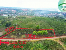 Chính chủ cần bán lô đất tại Thôn Thiện Chí, Ninh Gia, Đức Trọng, Lâm Đồng. Cách quốc lộ gần 3,5km.