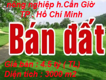 Cần tiền bán gấp đất nông nghiệp huyện Cần Giờ , Hồ Chí Minh