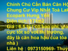 Chính Chủ Cần Bán Căn Hộ Chung Cư Vip Nhất Toà Lake Ecopark Hưng Yên