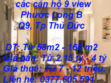 Cần bán hoặc cho thuê các căn hộ 9 view giá tốt tại tại Đường số 1, Phước Long B, Q9, Tp Thủ Đức.