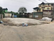 Chính chủ cần bán đất tại Thôn Thanh Miếu, Việt Hưng, Văn Lâm Hưng Yên