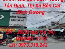 Chính chủ bán đất Phường Tân Định, Thị Xã Bến Cát, Bình Dương