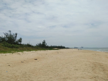 Tôi Cần chuyển nhượng lô đất mua vào là lời ngay - cạnh bãi biển Tân An - Bình Minh - Thăng Bình - Quảng Nam.