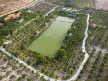 Bán hơn 5 sào đất Hồng Thái - Gần kênh nước - SHR - Giá siêu đầu tư