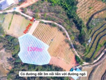 Mảnh đất 1200m ở Sa pa quá đẹo để kinh doanh ( 0369583341)