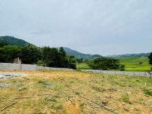 Bán 2000m đất tại Hợp Phong, Cao Phong, Hòa Bình. có 1550m thổ cư