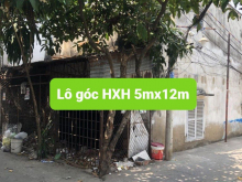 Chính Chủ Cần Bán Lô Góc 2 Mặt Tiền HXH Đỗ Cửa Vị Trí Đẹp Tại Phường Bình Thuận Quận 7