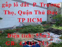 Chính chủ cần bán gấp lô đất hẻm xe hơi Đường Số 8, Phường Trường Thọ, Quận Thủ Đức, TP.HCM