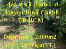 Chính chủ cần cho thuê đất ở Xã Bình Lợi - Huyện Bình Chánh - TP HCM