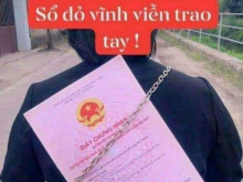 Bán nốt lô đất này em về nhà lấy vợ