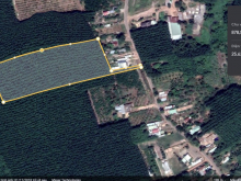 Bán Đất Cao Su Đang Thu Hoạch diện tích 2.5 ha giá 25 tỷ, Huyện Chơn Thành, Tỉnh Bình Phước