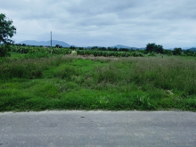 Xuống tiền đầu tư nhanh lô đất tại xã Hàm Thạnh, Huyện Hàm Thuận Nam, Bình thuận