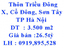 Chính chủ bán  đất Thôn Triều Đông, Xã Cổ Đông, Thị Xã Sơn Tây, TP Hà Nội