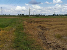 Kẹt tiền bán 1760m2 đất nông nghiệp xã Phước Thạnh 3.85 tỷ