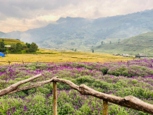 Bán cắt lỗ mảnh đất trung tâm Sapa, đón sóng sân bay Sapa 