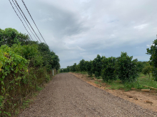 View hồ Trị An,SHR,Xã La Ngà,Định Quán,Đồng Nai