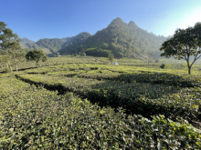 Chiềng Đi- TT Nông Trường. điểm làm cáp treo lên đỉnh Pha Luông của tập đoàn Sun