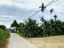 Đất đầu tư Ninh Đông Ninh Hoà, cách trung tâm thị xã Hơn 1,5km