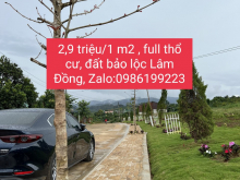 Cần Bán Gấp Lô Đất Đẹp Gía Đầu Tư Tại Lộc Quảng_ Bảo Lộc_ Lâm Đồng.