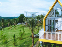 BÁN ĐẤT NỀN KHU NGHỈ DƯỠNG HOMESTAY SUNFLOWER NGAY BẢO LÂM - LÂM ĐỒNG