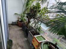 Bán căn hộ chung cư Iris Garden - 30 Trần Hữu Dực, 2PN từ 2.9ty