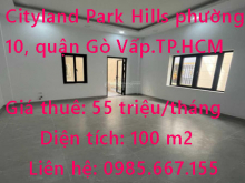 Cho thuê văn phòng KDC Cityland Park Hills phường 10, quận Gò Vấp