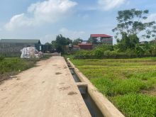 Bán 590m2 đất nông nghiệp xã Vân Tảo, Thường Tín