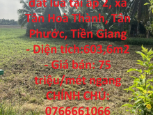 CHÍNH CHỦ bán nhanh đất lúa tại Tân Phước, Tiền Giang