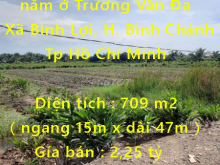 Cần bán 700m2 đất vườn 1 sẹt nằm ở Trương Văn Đa Xã Bình Lợi, Huyện Bình Chánh, Tp Hồ Chí Minh