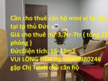 Cần cho thuê căn hộ mini vị trí đẹp tại tp thủ Đức, Hồ Chí Minh.