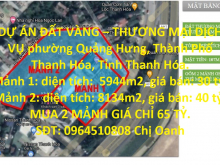 DỰ ÁN ĐẤT VÀNG – THƯƠNG MẠI DỊCH VỤ THANH HÓA.