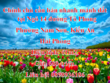 Chính chủ cần bán nhanh mảnh đất tại Ngõ 14 đường Tô Phong, Phường Nam Sơn, Kiến An, Hải Phòng.