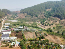 ( Gấp lắm rồi ) bán gấp lô đất đẹp phù hợp đầu tư tại Tà Nung, Đà Lạt 1160m2 giá chỉ 7tr/m2