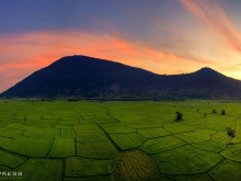 Chủ cần thanh lý nhanh lô đất sào mặt tiền đường đất lớn, kế bên đường Nhựa liên xã