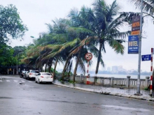 CỰC HIẾM MẶT PHỐ VIEW HỒ TÂY THƠ MỘNG - VỈA HÈ - Ô TÔ TRÁNH - KINH DOANH ĐA LOẠI HÌNH.