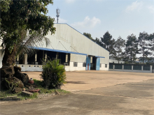 nhà máy sản xuất Gỗ Xuất Khẩu, Ngũ Kim. vị trí thuận lợi gần cao tốc. dễ tuyển CNV