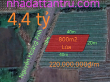 Bán gấp lô đất lúa chuyển thổ mặt tiền Đường Nguyễn Hoàng Anh giá 4,4 tỷ