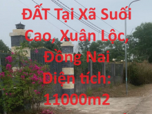 Cần Bán LÔ ĐẤT Tại Xã Suối Cao, Xuân Lộc, Đồng Nai