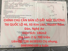 CHÍNH CHỦ CẦN BÁN LÔ ĐẤT MẶT ĐƯỜNG TẠI QUỐC LỘ 46, Xã Kim Liên, Huyện Nam Đàn, Nghệ An