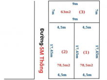 Bán gấp 78,5m2 tại Phú Minh - Minh Phú - Sóc Sơn, phù hợp đầu tư lâu dài