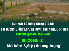 Bán Đất Sổ Hồng Riêng Giá Rẻ Trung Tâm Mỹ Hạnh Nam-Đức Hòa-Long An