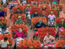 Bán gấp giá rẻ hồ câu xã Quang Trung, 4000m, mặt tiền 400m, 5 tỷ Phú Xuyên, Hà Nội.