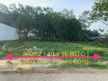 ĐẤT ĐẸP VỊ TRÍ KINH DOANH 10X38m2 mặt tiền nhựa, Phước Đông, Gò Dầu, Tây Ninh