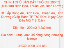 CHÍNH CHỦ BÁN  ĐẤT THỔ CƯ 290m2 (12x24m) Bình Hoà, Thuận  An, Bình Dương