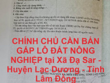 CHÍNH CHỦ CẦN BÁN GẤP LÔ ĐẤT NÔNG NGHIỆP tại  Xã Đạ Sar - Huyện Lạc Dương - Tỉnh Lâm Đồng